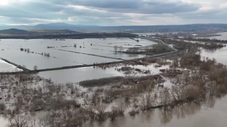 Σε Red Code ξανά ο Έβρος λόγω κινδύνου για πλημμύρες: Έσπασε κύριο ανάχωμα του ποταμού στην Κορνοφωλιά