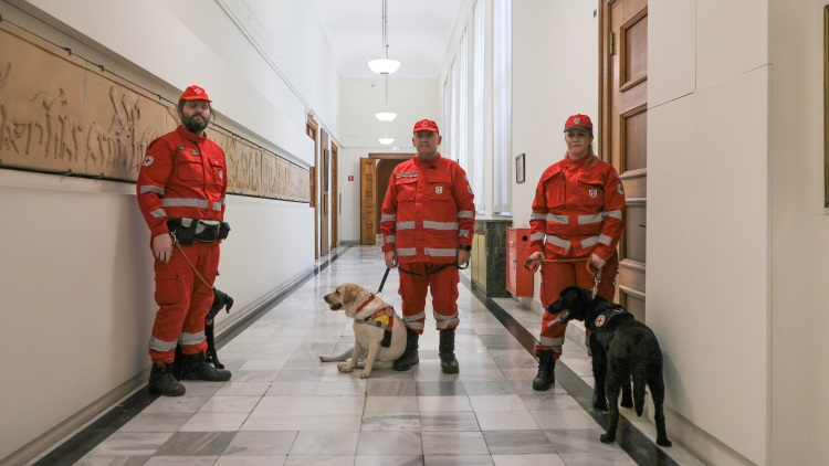 Δωρεά σκύλων διασωστών από τη Βουλή, ο King και η Kira στο δυναμικό του Ερυθρού Σταυρού
