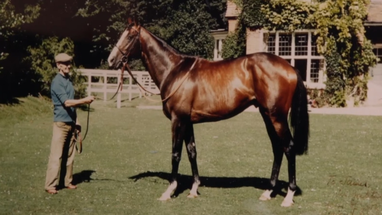 Η απαγωγή του πιο ακριβού αλόγου στον κόσμο που παραμένει άλυτο μυστήριο από το 1983