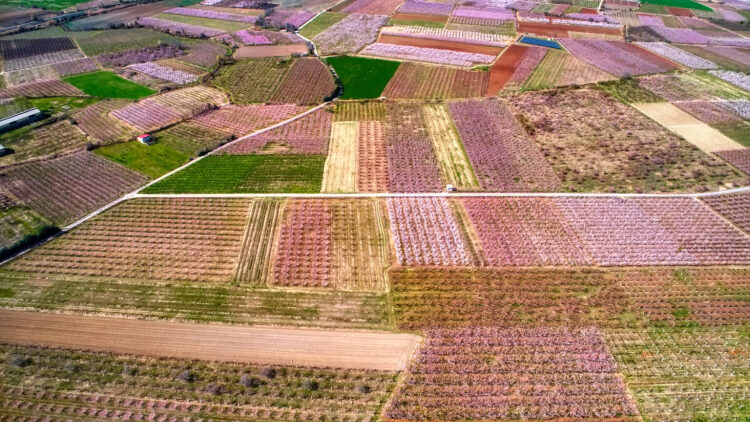Η άνοιξη στην Ελλάδα μέσα από 4 μοναδικά τοπία