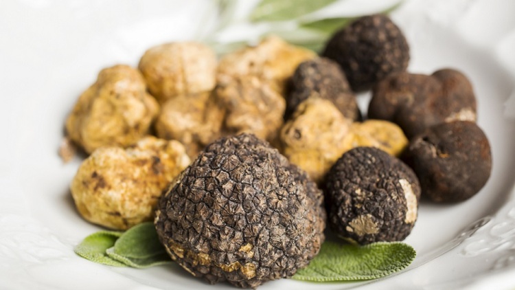Τρούφα στην Ελλάδα: Που βρίσκεται, ποια είδη υπάρχουν και πόσο κοστίζει