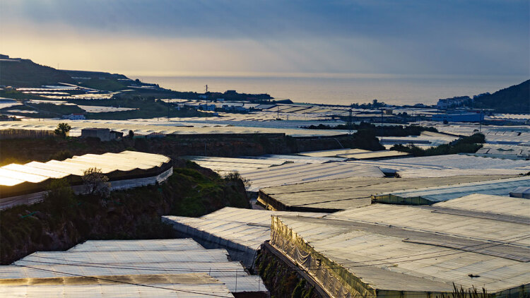 Αυτό είναι το μεγαλύτερο θερμοκήπιο που τρέφει όλη την Ευρώπη