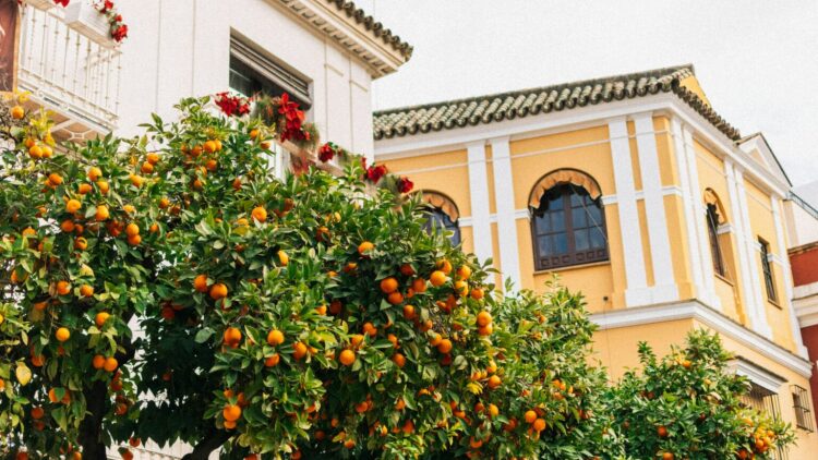 5 στιγμές χαράς που έρχονται με τις πρώτες ημέρες της Άνοιξης
