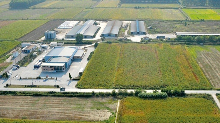 Πλειστηριασμοί: Η ώρα της κρίσης για το Κτήμα Σπυρόπουλος, τα νέα φιλέτα του «Καρούζος Gate» και η ΚΡΕ.ΚΑ