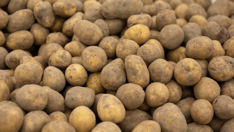 Πατάτες Αιγύπτου ως «ελληνικές»: Τι έδειξαν οι έλεγχοι του υπ. Ανάπτυξης στην αγορά, «έπεσαν» πρόστιμα 62.000 ευρώ