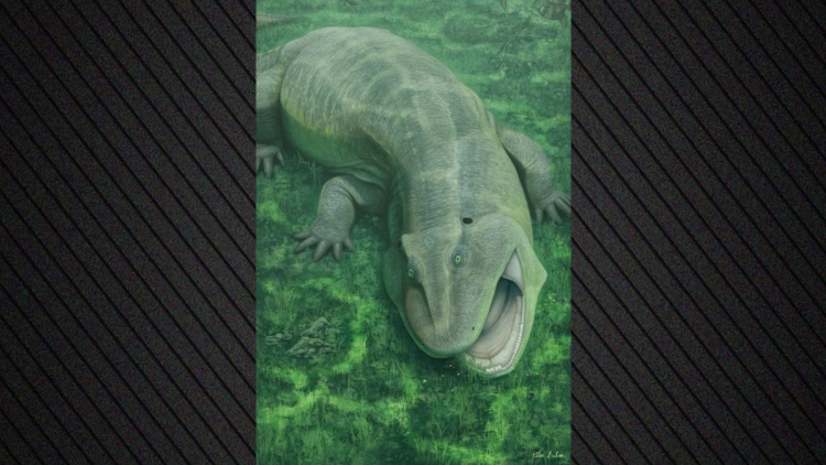 Ανακαλύφθηκε παράξενο προϊστορικό ζώο με στριμμένη γνάθο και δόντια που κοιτούσαν στο πλάι που ζούσε πριν από 275 εκατ. χρόνια