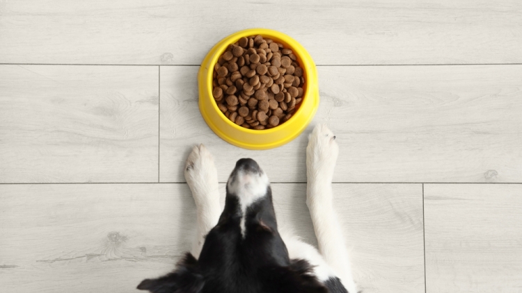 Επιτροπή Ανταγωνισμού: Πρόστιμα σχεδόν 500.000 ευρώ σε εταιρείες ζωοτροφών για καθορισμό τιμών μεταπώλησης