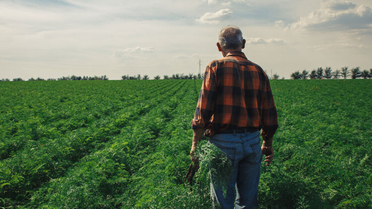 Έκρηξη στις τιμές λιπασμάτων με φόντο τη Μ. Ανατολή: Κίνδυνος για τα τρόφιμα και νέος «βραχνάς» για τους αγρότες
