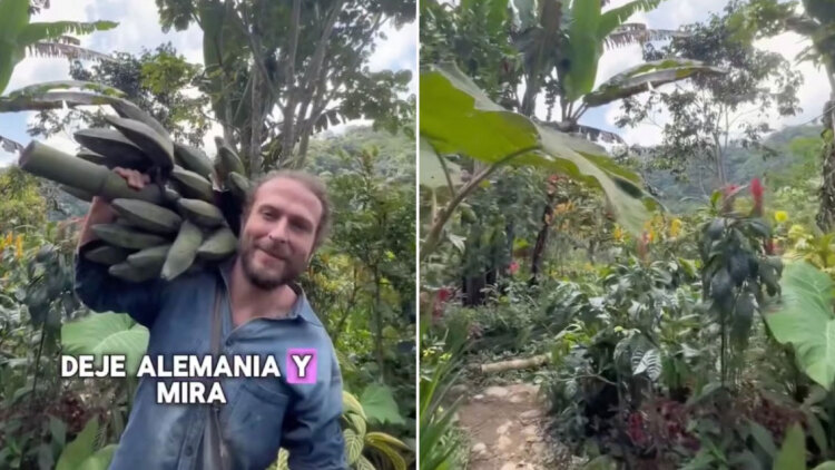 Γερμανός άφησε την Ευρώπη για να γίνει αγρότης στα βουνά της Κολομβίας: «Αποφάσισα να ριζώσω»