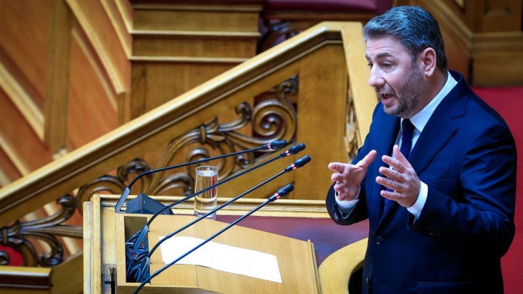 Ανδρουλάκης στη Βουλή: Μνημείο συγκάλυψης το πόρισμα της πλειοψηφίας για τον ΟΠΕΚΕΠΕ 