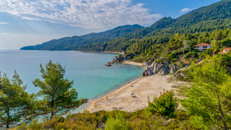 Σε δημοπρασία η γνωστή παραλία «Φάβα» στη Χαλκιδική, αντιδράσεις από κατοίκους και τοπικούς φορείς
