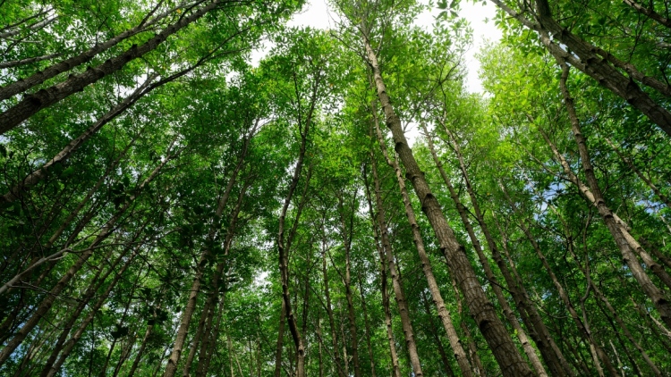  Ο Φεβρουάριος ανάμεσα στους πιο θερμούς παγκοσμίως στα χρονικά, οι εντυπωσιακές αντιθέσεις