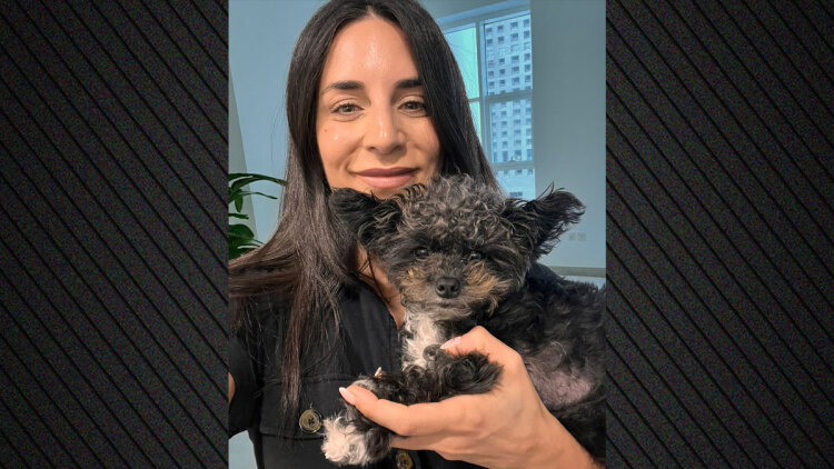 Επιχείρηση «Κιβωτός»: 92 Έλληνες εγκλωβισμένοι  σε Ντουμπάι και Άμπου Ντάμπι, ζητούν επαναπατρισμό μαζί με περίπου 100 κατοικίδια