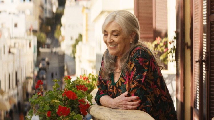 Ο οδηγός ταινιών του Δημήτρη Δανίκα