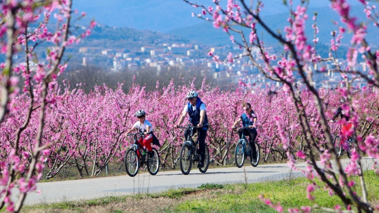 Το παραμυθένιο μέρος που δεν θυμίζει Ελλάδα αλλά είναι στη Βέροια, δείτε βίντεο από τη ροζ επαρχία