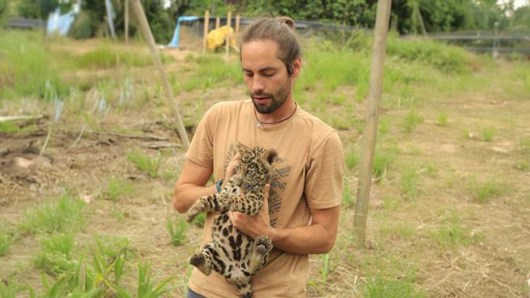 Ο κτηνίατρος που γύρισε από τη ζούγκλα: Ο Μανώλης Κουμαντάκης έσωσε μυρμηγκοφάγο στον Αμαζόνιο και τώρα περιθάλπει ιγκουάνα στην Αθήνα, δείτε φωτογραφίες
