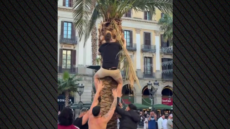 Σαν μικρά παιδιά οι οπαδοί της Νιούκαστλ στη Βαρκελώνη: Σκαρφάλωσαν σε δέντρα και βούτηξαν σε σιντριβάνι, βίντεο