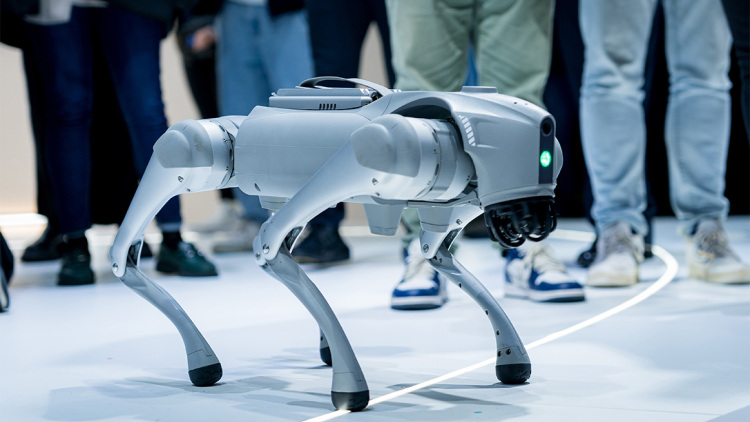 Ρομποτικά σκυλιά φυλάνε data centers - Έως 300.000 δολάρια το κόστος