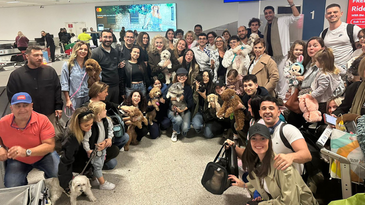 «Συγκινητικές σκηνές» στην Αθήνα - Μεγάλο ενδιαφέρον διεθνών ΜΜΕ για την ελληνική επιχείρηση επαναπατρισμού κατοικιδίων από τη Μέση Ανατολή