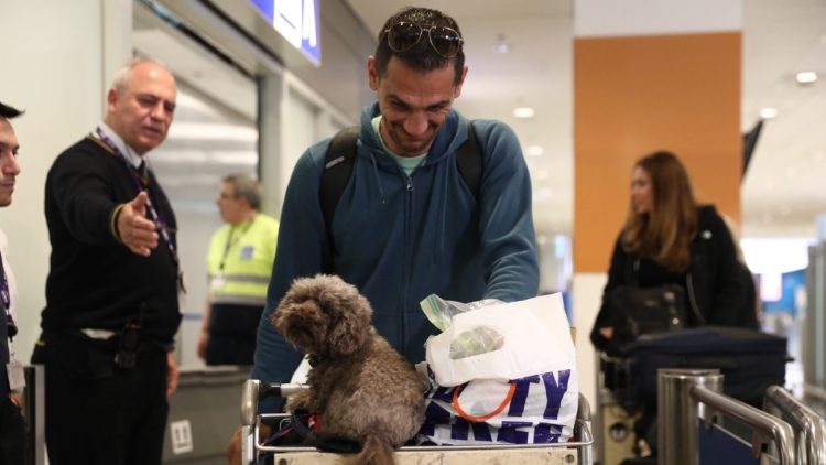 YΠΕΞ: Πάνω από 2.000 Έλληνες και 45 κατοικίδια επέστρεψαν από την εμπόλεμη ζώνη στη Μέση Ανατολή