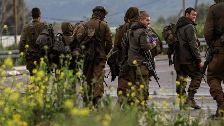 anatinaksi-gefyras-hor