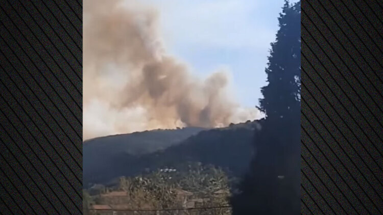 Φωτιά τώρα σε δάσος στα Μαυράτα Κεφαλονιάς, σηκώθηκε ένα αεροσκάφος