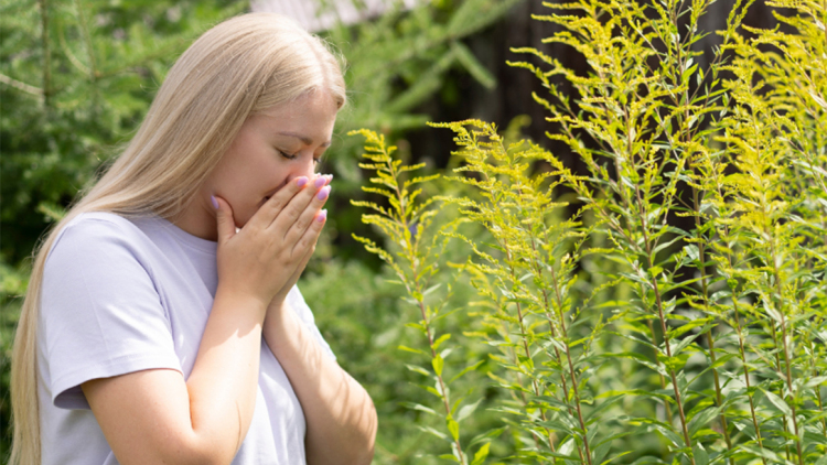 Άσθμα και αλλεργίες την άνοιξη: Τι πρέπει να γνωρίζετε