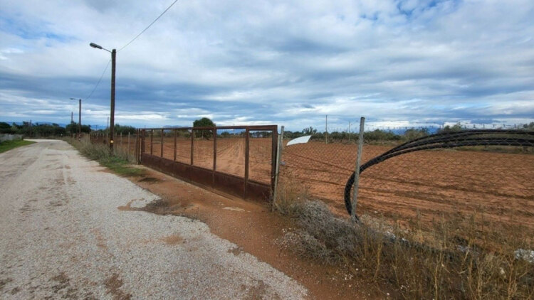 Πλειστηριασμοί: Σε νέο σφυρί και με… σκόντο η έκταση 100 στρεμμάτων του «Έλληνα Εσκομπάρ»