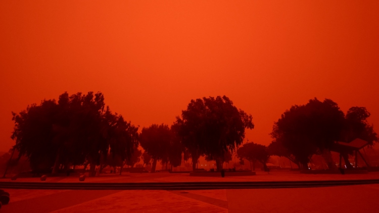 Κρήτη: Αδέλφια τσακώθηκαν επειδή ο γείτονας τους έριχνε νερό για να απομακρύνει την αφρικανική σκόνη και κατέληξαν στα κρατητήρια