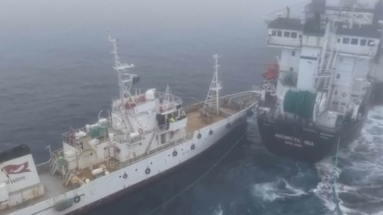 Ακτιβιστές κατά της φαλαινοθηρίας συγκρούστηκαν με βιομηχανικό πλοίο στην Ανταρκτική, δείτε βίντεο 
