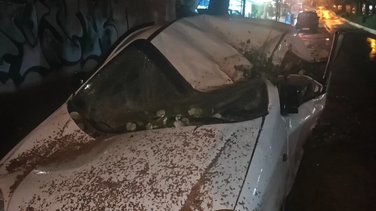 Κακοκαιρία: Δέντρο ισοπέδωσε αυτοκίνητο στην Ηλιούπολη, δείτε βίντεο