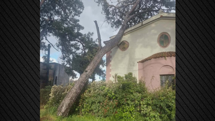 Σοβαρές ζημιές στον Ιερό Ναό Αγίων Πατέρων της Μυτιλήνης μετά από πτώση μεγάλου δέντρου, δείτε φωτογραφίες
