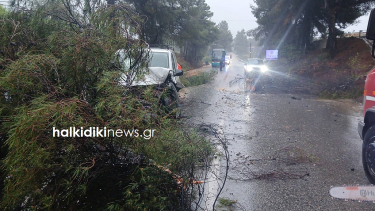 Τροχαία, κατολισθήσεις και διακοπή κυκλοφορίας λόγω της κακοκαιρίας «Erminio» στη Χαλκιδική, δείτε φωτογραφίες