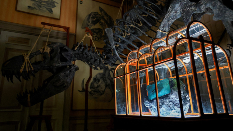 Τσάντα από καλλιεργημένο δέρμα... τυραννόσαυρου θα δημοπρατηθεί στο Άμστερνταμ, δείτε φωτογραφίες