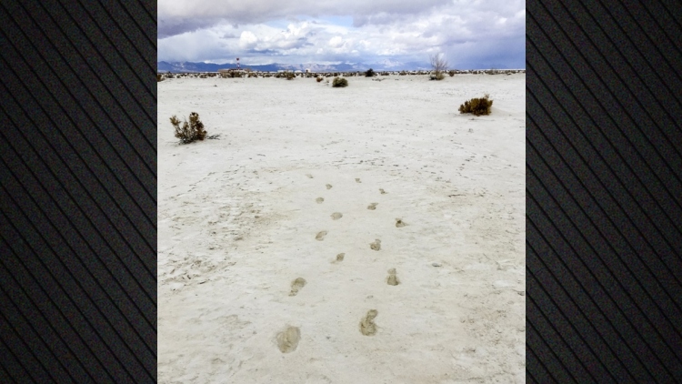 Αποτυπώματα 10.000 ετών αποκαλύπτουν το επικίνδυνο ταξίδι μιας μητέρας με το παιδί της σε μία διαδρομή γεμάτη αρπακτικά