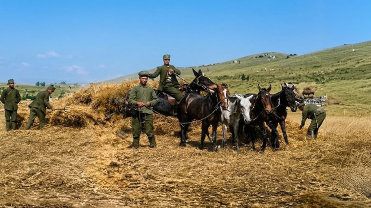 Τα εγκλήματα των Τούρκων σε βάρος των Ελλήνων αιχμαλώτων της Μικράς Ασίας: Οι συγκλονιστικές περιγραφές του αντισυνταγματάρχη Μαραθέα