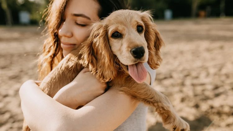 Πόσο συχνά πρέπει να αγκαλιάζουμε τον σκύλο μας; Η απάντηση που ίσως δεν περιμένατε
