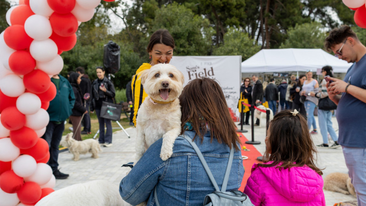 Από ψυχολογικά τεστ και υιοθεσίες μέχρι χορούς και δράσεις σε μια γιορτή γεμάτη χαρούμενα κατοικίδια στο Woof Festival 2026 από το petmou.gr