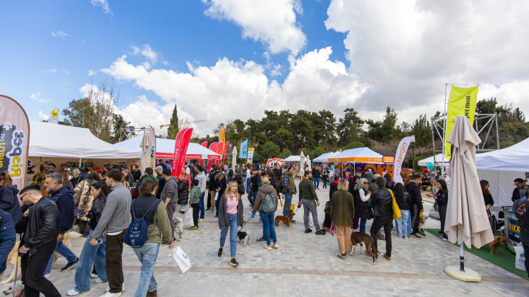 Υιοθεσίες, χαρά, κουνιστές ουρές και πολλές εκπλήξεις: Όσα έγιναν στο Woof Festival | Topetmou.gr