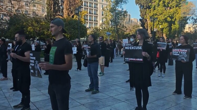 «Μπορούμε να γιορτάσουμε το Πάσχα χωρίς να σκοτώνουμε» - Νέα διαδήλωση vegan στο Σύνταγμα, δείτε βίντεο