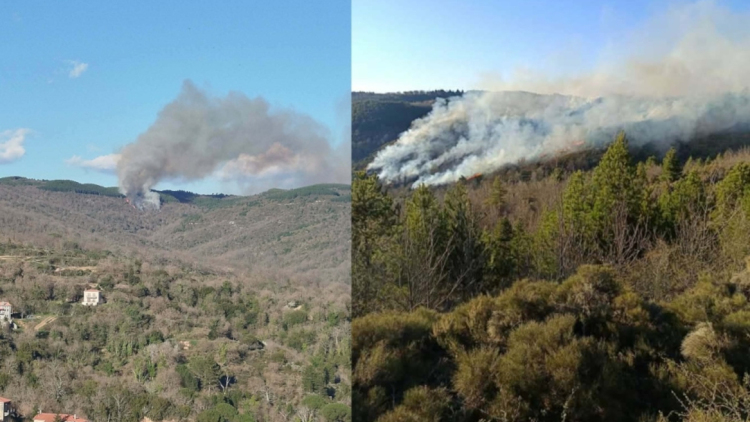 Σε εξέλιξη η φωτιά σε δασική έκταση στις Καρυές Λακωνίας