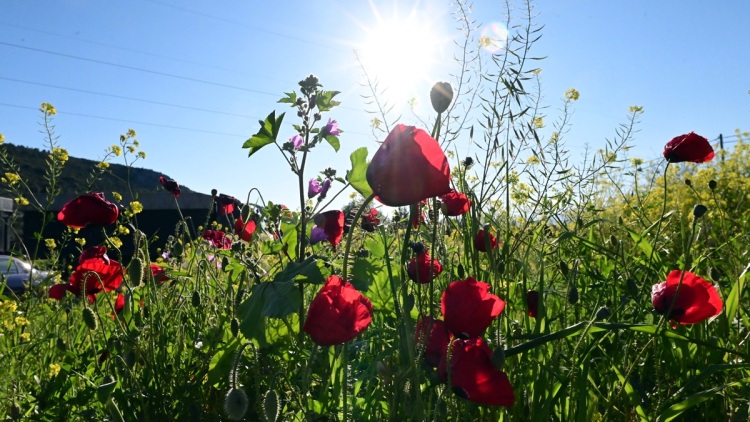 Καιρός: Τοπικές βροχές και πτώση θερμοκρασίας έως τη Μεγάλη Παρασκευή - Άνοδος την Κυριακή του Πάσχα