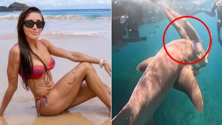 Βραζιλία: Καρέ-καρέ η στιγμή που καρχαρίας αρπάζει από το πόδι τουρίστρια μόλις βουτά στη θάλασσα, δείτε βίντεο
