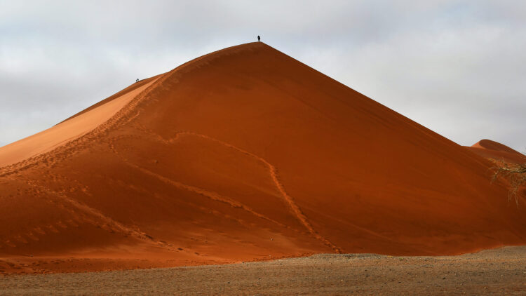 Ταξίδι ζωής στη Ναμίμπια: Εκεί όπου η έρημος σμίγει με τον ωκεανό