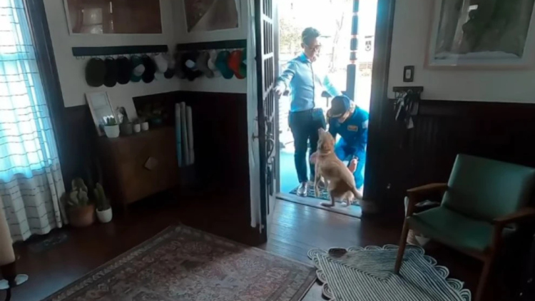 Η αστροναύτης του Artemis II βλέπει το σκυλάκι της μετά από μέρες - Η επανένωση έγινε viral στο διαδίκτυο, δείτε το βίντεο