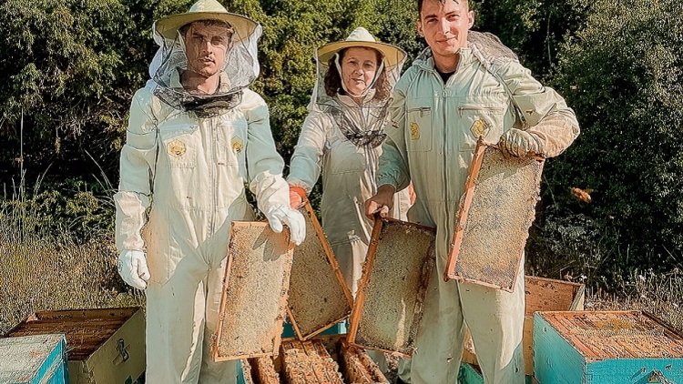 Μέλι ελάτης βανίλια: Γιατί δεν παράγεται κάθε χρόνο στο Μαίναλο