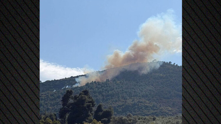 Από καύση υπολειμμάτων καλλιεργειών η φωτιά στην Άμπελο Αχαΐας, συνελήφθη 51χρονος