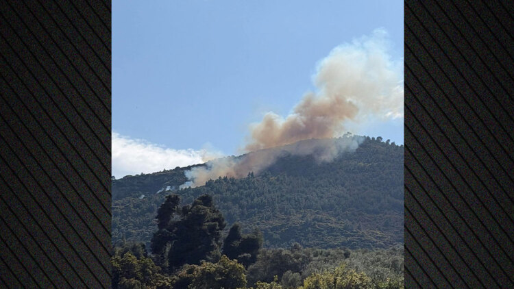 Φωτιά σε δασική έκταση στην Άμπελο Αχαΐας