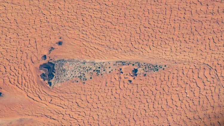 Η φωτογραφία της NASA που τραβήχτηκε από ύψος 420 χλμ: Το «πράσινο θαύμα» της ερήμου