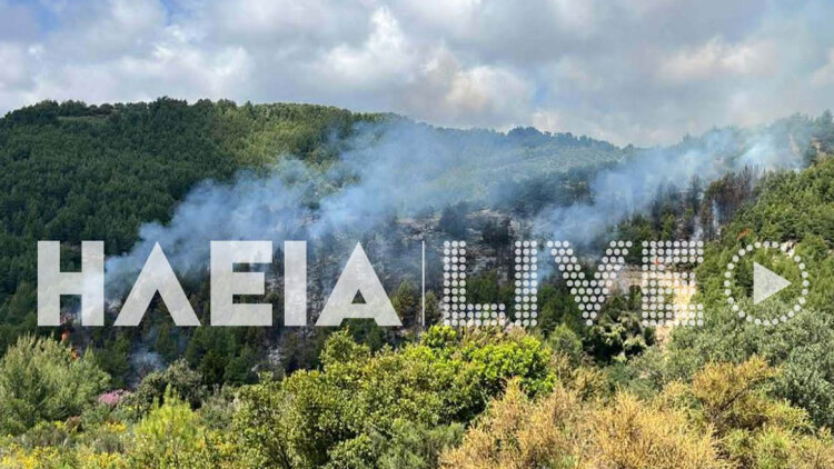 Φωτιά τώρα σε δασική έκταση στο Λέπρεο Ηλείας, επιχειρούν 52 πυροσβέστες και ένα αεροσκάφος